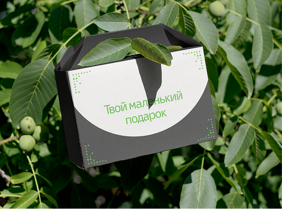 Подарочный бокс Микропарк