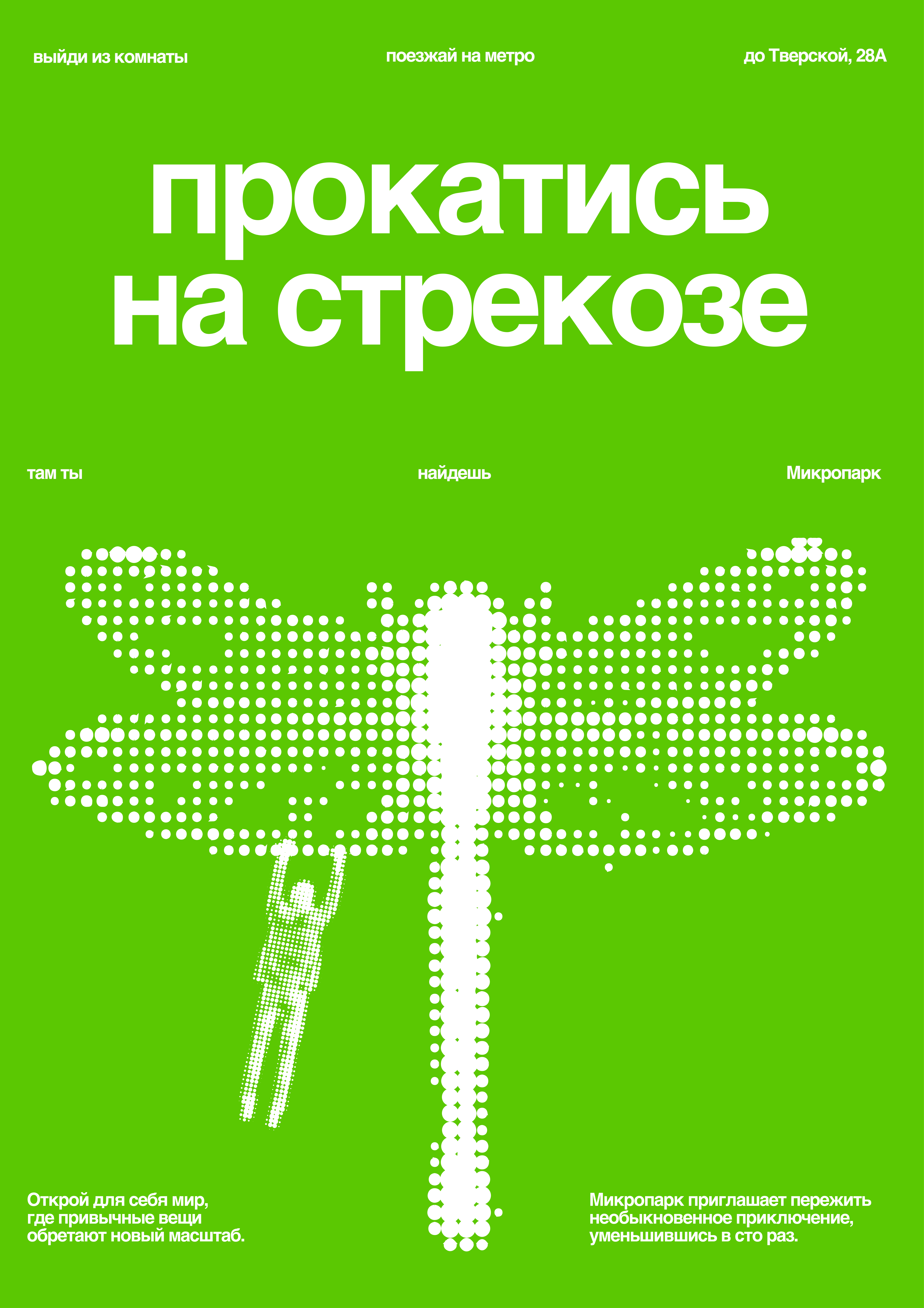 Афиша прогулки со стрекозами