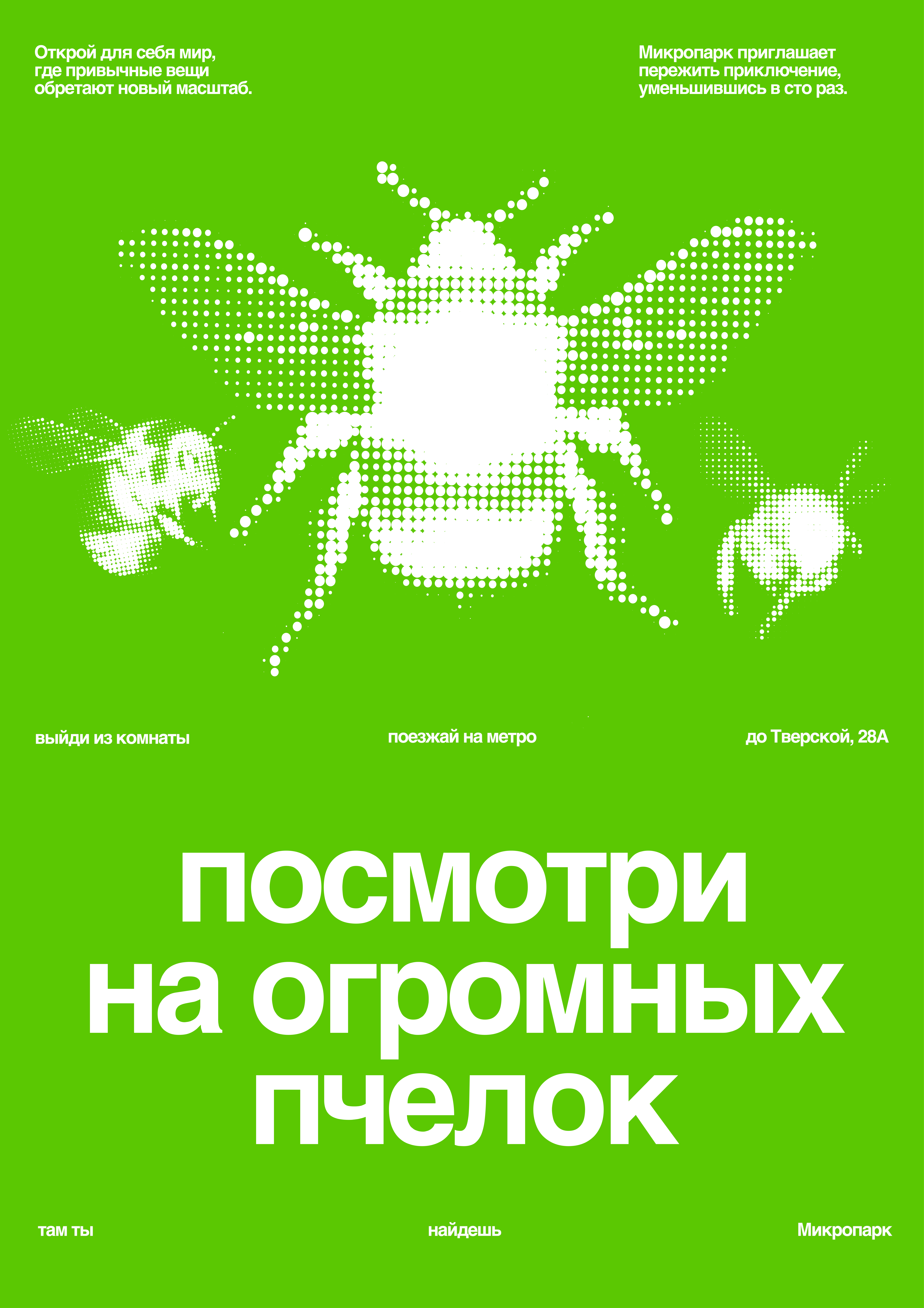 Афиша экскурсии по Микропарку