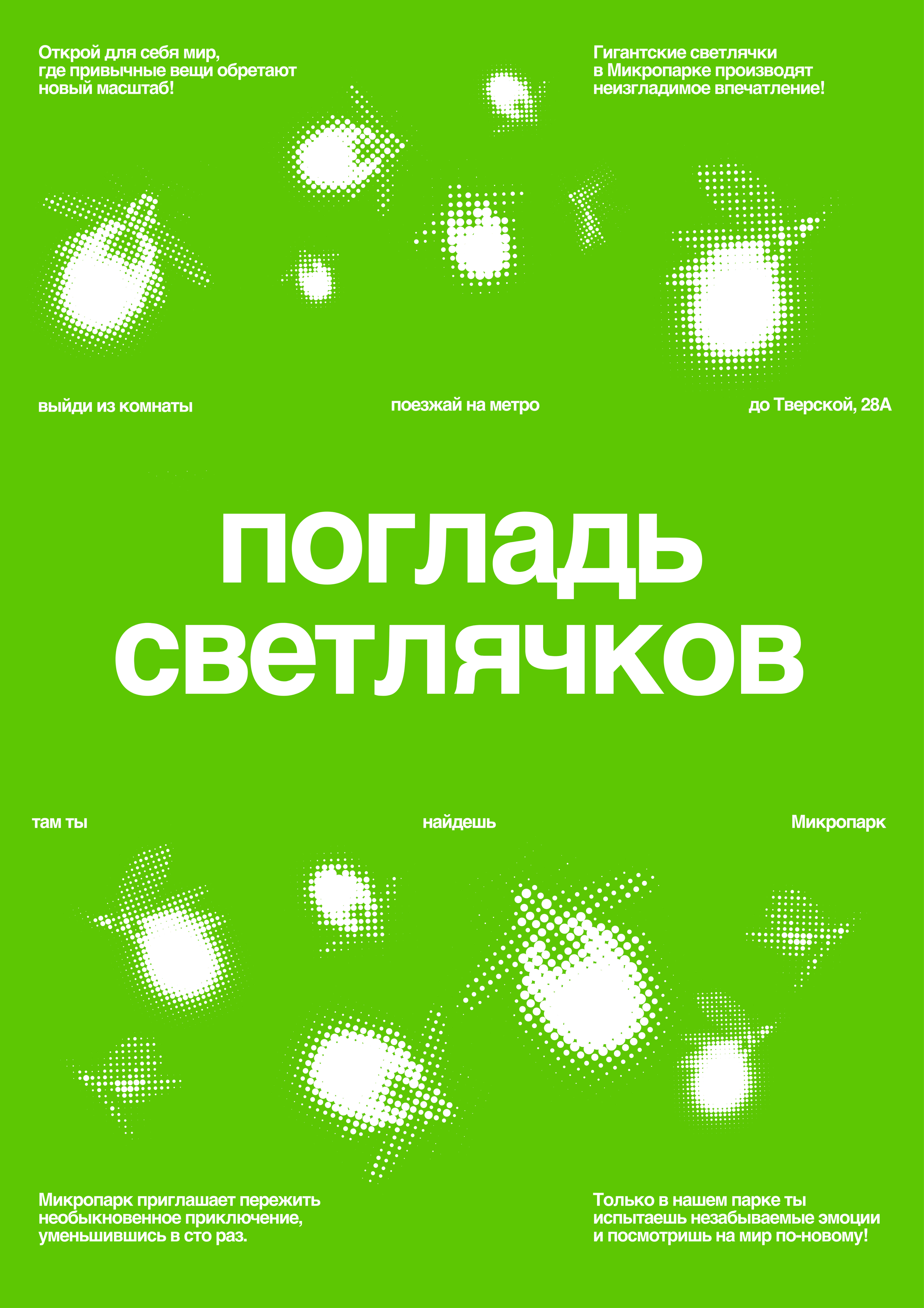 Афиша экскурсии о светлячках