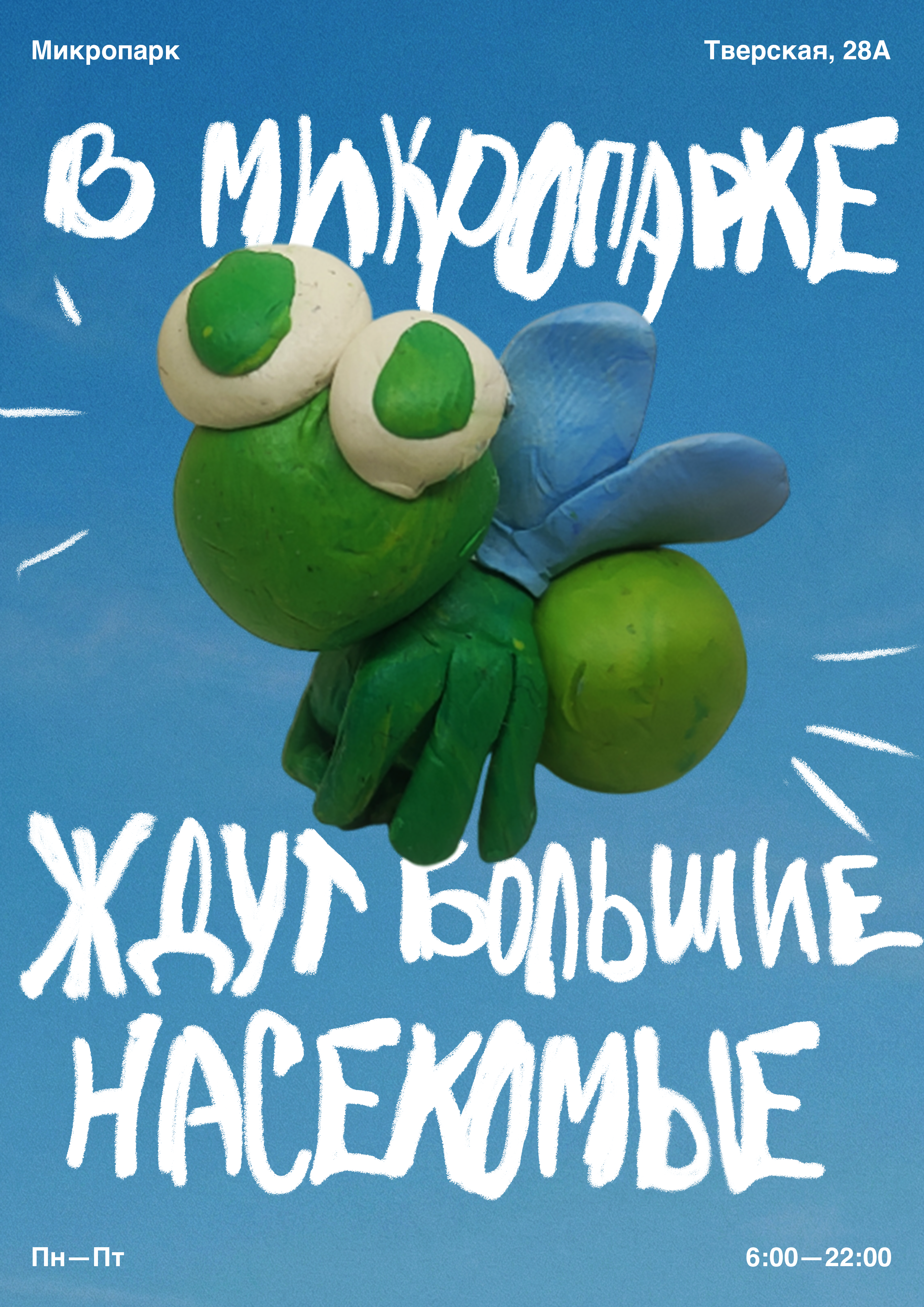 Афиша мастер-класса о пластилиновых насекомых